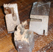 muestra carcoma 1
